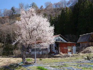 Shirakawago