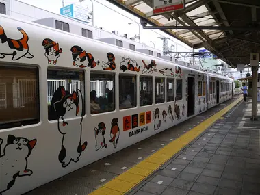 Tama-train