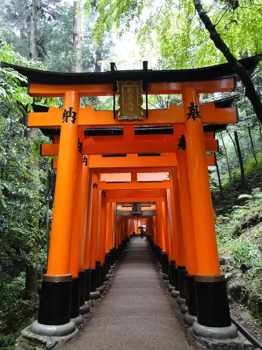 Torii, Fushimi Inari