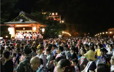 Gujo Odori