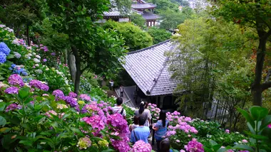 Hase-dera