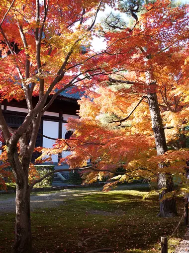 Tôfuku-ji