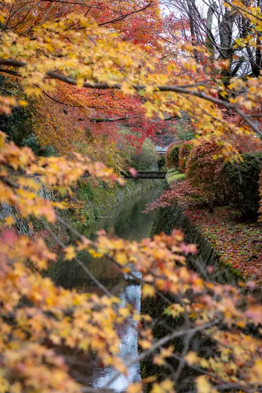 Chemin de la philosophie en automne