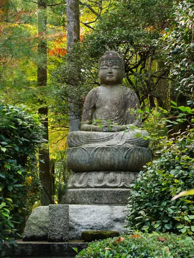 Dans les jardins de Kinkakuji