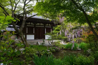 Hakusasonso Hashimoto Kansetsu