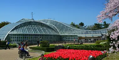 Jardin botanique de Kyoto