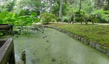 Kyoto Botanical Garden