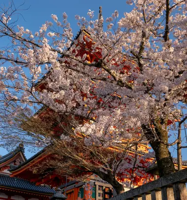 Kiyomizu-dera