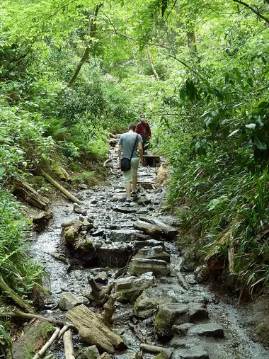 Mount Takao hike