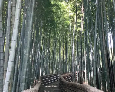 Adashino Nenbutsu-ji