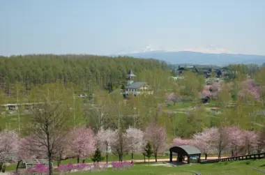 Higashikagura Forest Park Auto Camping