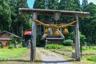 Suganuma