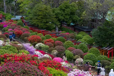 Nezu-jinja