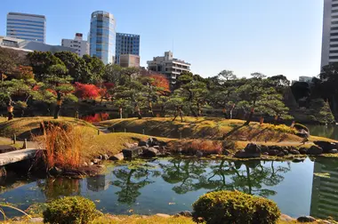 Kyu Shiba Rikyu