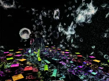 Catching and Collecting Extinct Forest (teamLab Planets)