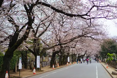 Cimetière de Yanaka