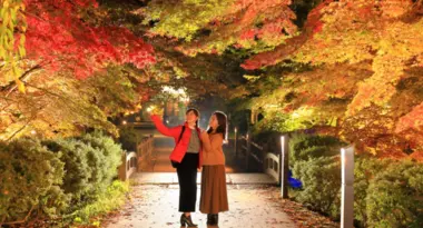 Festival de Hirosaki