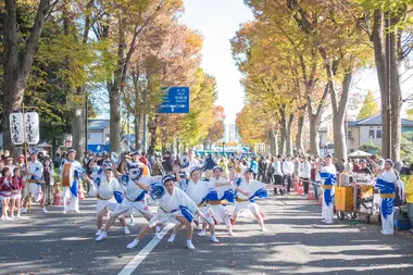Festival des gingko de Hachioji
