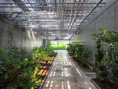 Ginza Six Garden