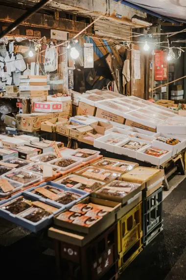 Tsukiji fish market (Toyosu)