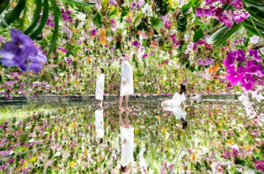 teamLab Planets