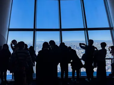 Skytree Tembo Deck