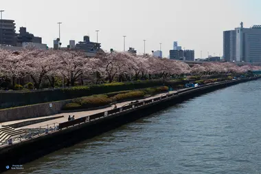 Sumida Park