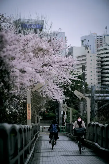 Tokyo en vélo