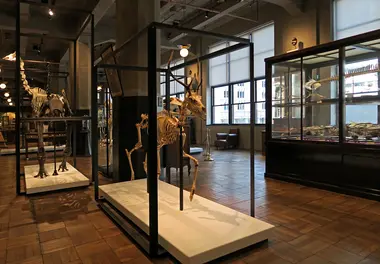 Intermediatheque