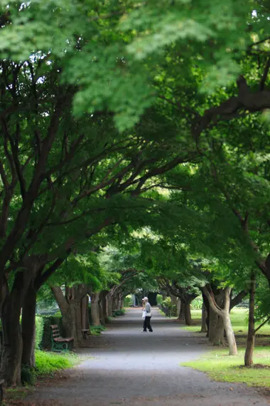 Koishikawa Botanical Garden
