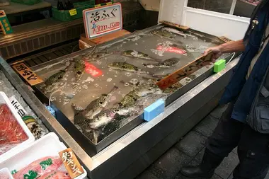 Du fugu chez un poissonnier.