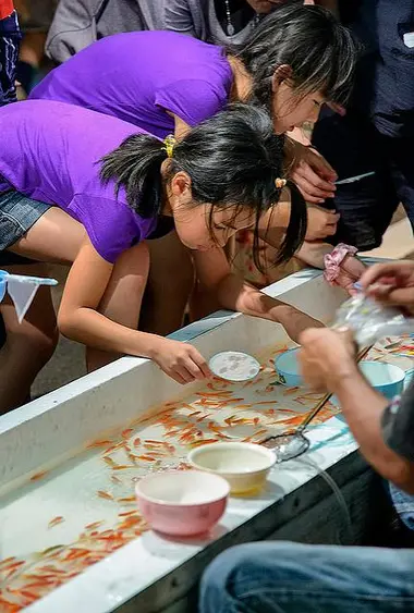 La pêche aux poissons rouges, activité populaire du matsuri