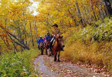 Une balade à cheval permet de découvrir la faune et la flore du parc national Kushiro Shisetsugen