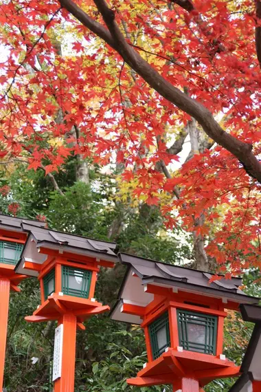 El otoño en Japón