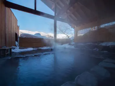 Vue sur les montagnes enneigées depuis le onsen Mimizuku-no-yu