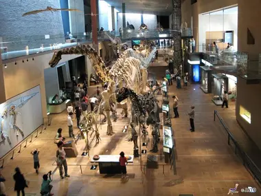 Musée d'Histoire Naturelle de Kitakyushu