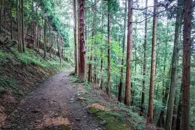 Le sentier pour gravir le Mont Hiei