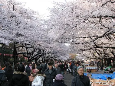 Ueno Park 