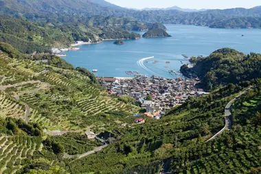 Terraced fields at Karihama