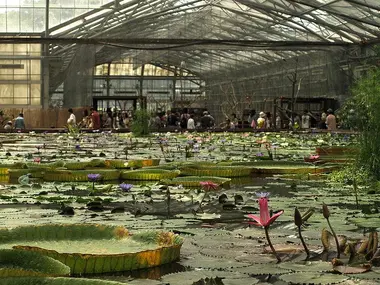 Le parc floral et aux oiseaux de Kakegawa