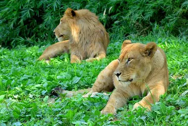 Zoo de Tama