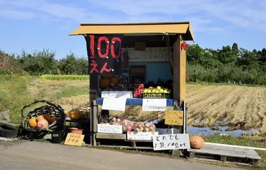 Un magasin sans vendeur en campagne