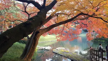Korakuen en automne