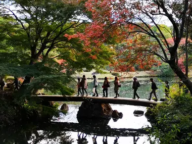 Rikugien sous les koyo