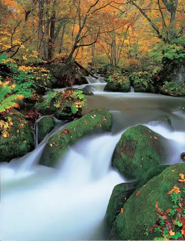 La rivière dans la forêt d'Oirase Keikryu