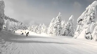 Les monstres de neige de Zao