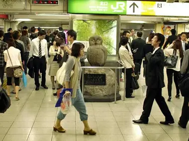 Ikefukuro, la chouette de Ikebukuro