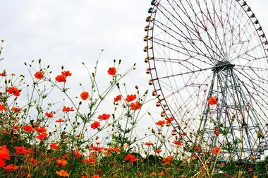 Parc Kasai Rinkai