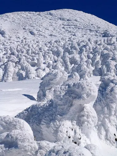 Where to see the Snow Monsters of Japan? | Japan Experience