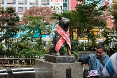 Hachiko